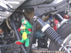 Grab The Flag in Schleiz 2006