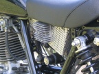 30 Jahre SR 500 in Buldern 2008