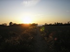 Ostseetreffen 2009